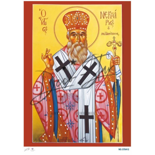 Ριζόχαρτο ST0412