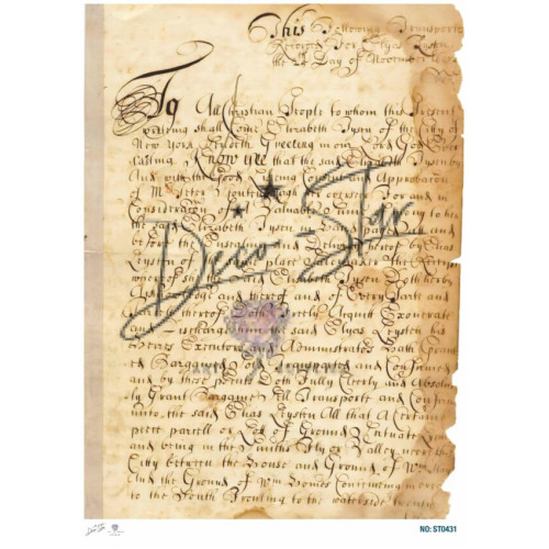 Ριζόχαρτο ST0431