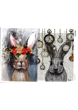 Ριζόχαρτο ST0105