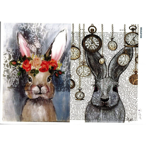 Ριζόχαρτο ST0105