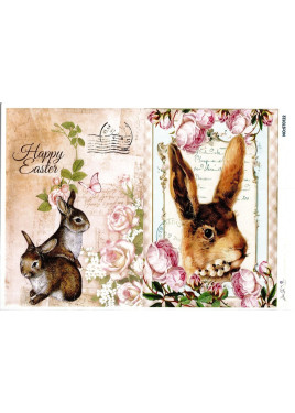 Ριζόχαρτο ST0122