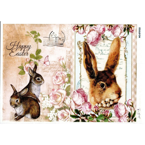 Ριζόχαρτο ST0122