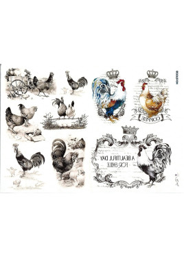 Ριζόχαρτο ST0138