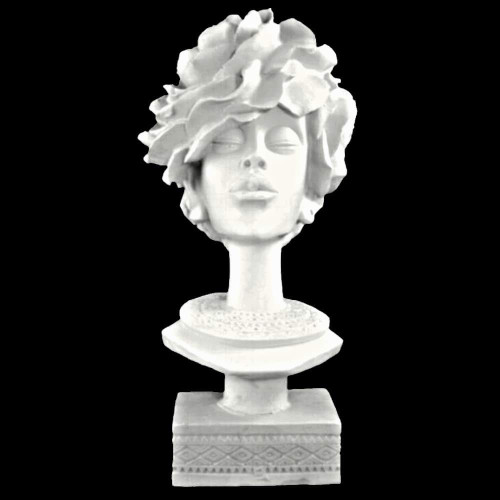 ΔΙΑΚΟΣΜΗΤΙΚΟ ΗΥΚ219