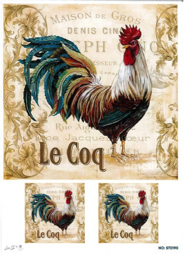 Ριζόχαρτο ST0190