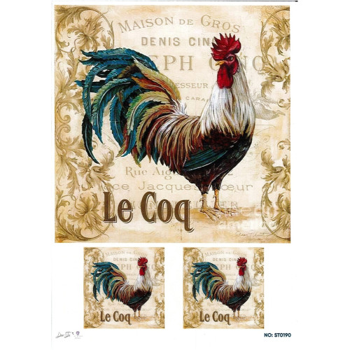 Ριζόχαρτο ST0190