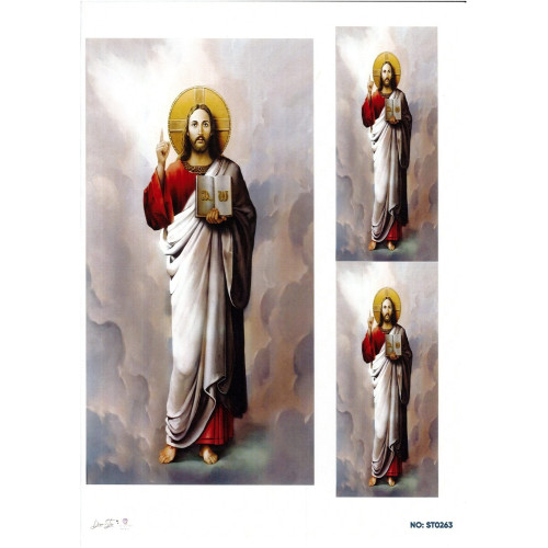 Ριζόχαρτο ST0263