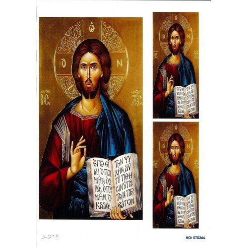 Ριζόχαρτο ST0264