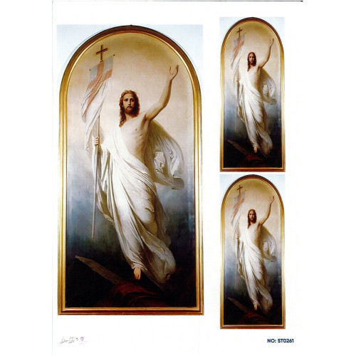 Ριζόχαρτο ST0261