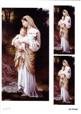 Ριζόχαρτο ST0260