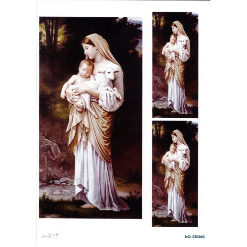 Ριζόχαρτο ST0260