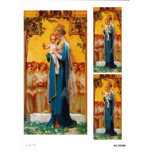 Ριζόχαρτο ST0258