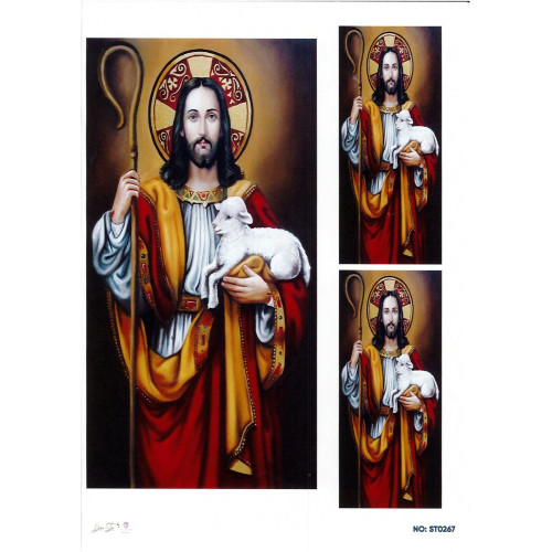 Ριζόχαρτο ST0267