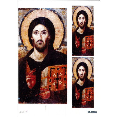 Ριζόχαρτο ST0266