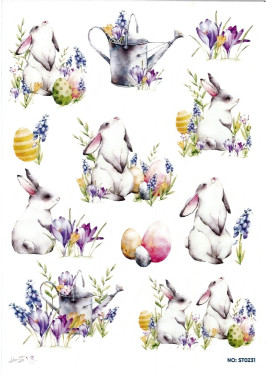 Ριζόχαρτο ST0231