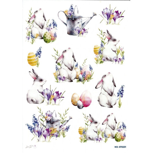 Ριζόχαρτο ST0231