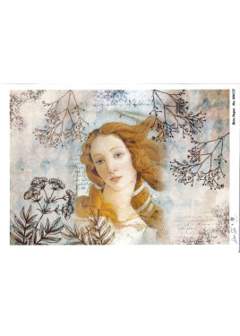 Ριζόχαρτο 000177