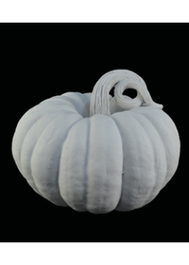 Κολοκύθα HYK100