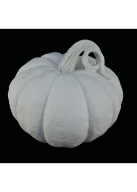 Κολοκύθα HYK101