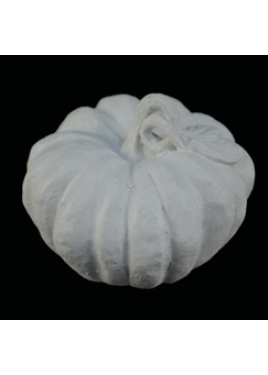 Κολοκύθα HYK133