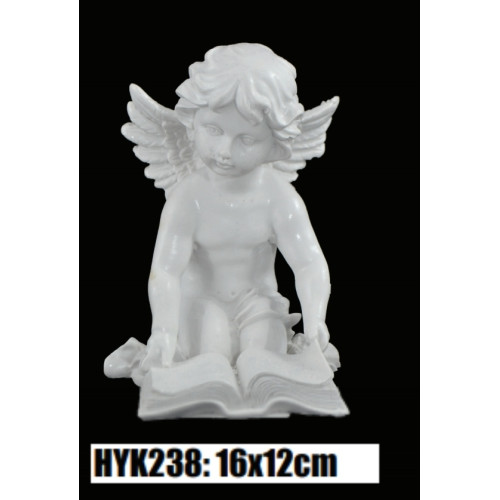 ΔΙΑΚΟΣΜΗΤΙΚΟΣ ΑΓΓΕΛΟΣ ΗΥΚ238