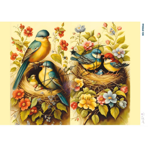 Ριζόχαρτο ST0346