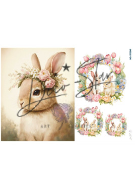 Ριζόχαρτο ST0348