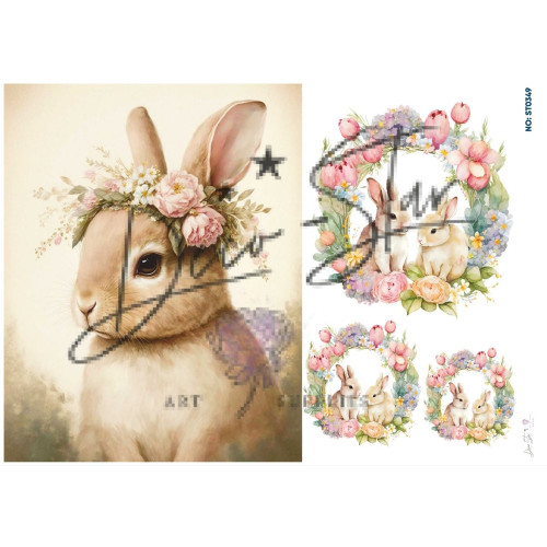 Ριζόχαρτο ST0348