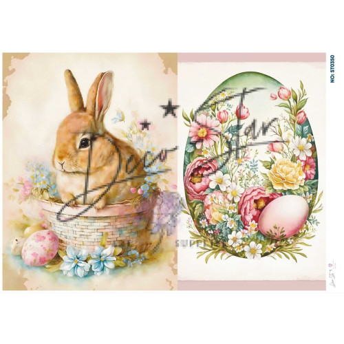 Ριζόχαρτο ST0350