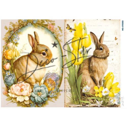 Ριζόχαρτο ST0353