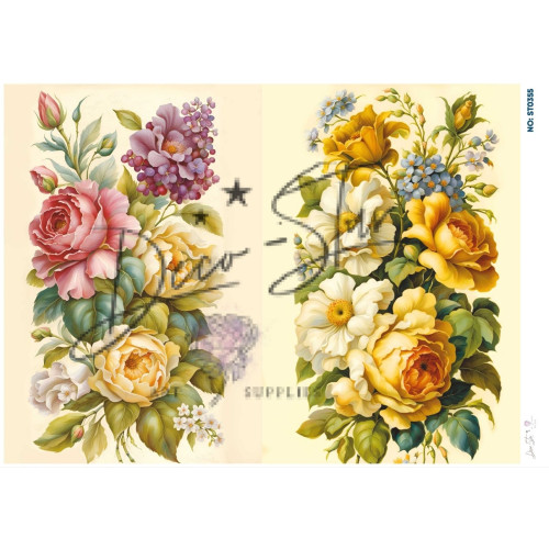 Ριζόχαρτο ST0355