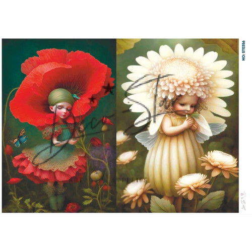 Ριζόχαρτο ST0356