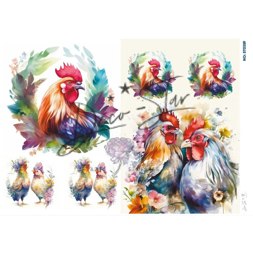 Ριζόχαρτο ST0359