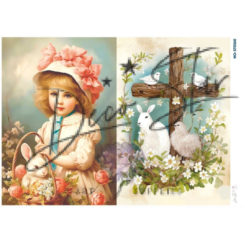 Ριζόχαρτο ST0360