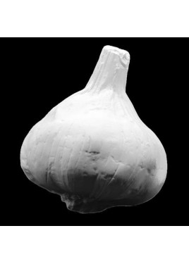 ΠΟΛΥΕΣΤΕΡΙΚΟ ΣΚΟΡΔΟ PK-0010