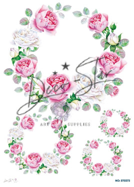 Ριζόχαρτο ST0373