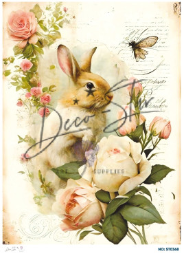 Ριζόχαρτο ST0368