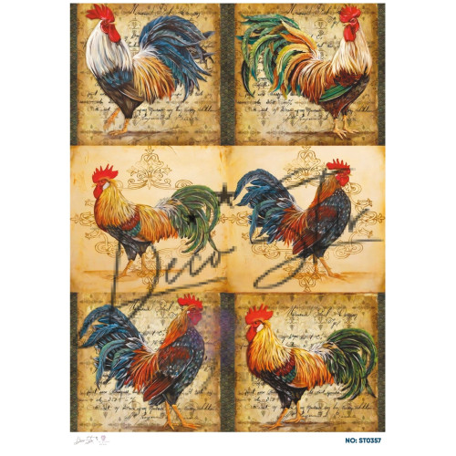 Ριζόχαρτο ST0357