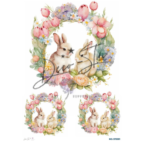 Ριζόχαρτο ST0351