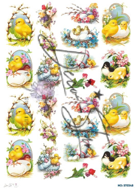 Ριζόχαρτο ST0348