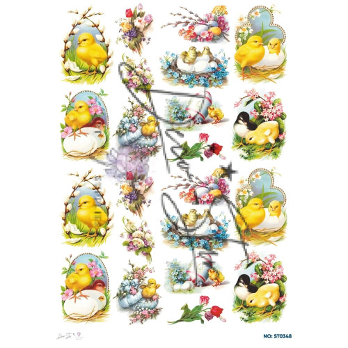 Ριζόχαρτο ST0348